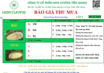 GIÁ SẦU RIÊNG HÔM NAY 09/11/2024