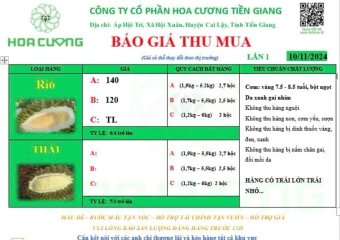 GIÁ SẦU RIÊNG HÔM NAY 10/11/2024