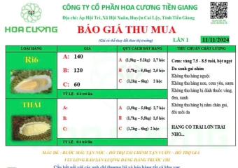 GIÁ SẦU RIÊNG HÔM NAY 11/11/2024