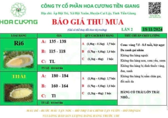 GIÁ SẦU RIÊNG HÔM NAY 18/11/2024