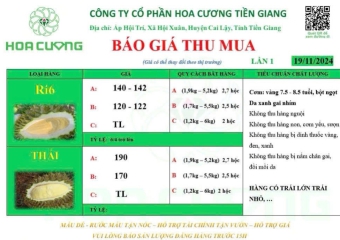 GIÁ SẦU RIÊNG HÔM NAY 19/11/2024
