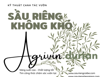 9.4. XỚI ĐẤT