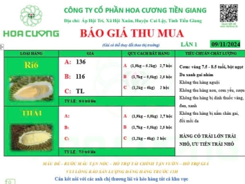 GIÁ SẦU RIÊNG HÔM NAY 09/11/2024