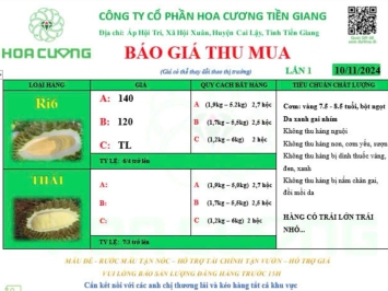 GIÁ SẦU RIÊNG HÔM NAY 10/11/2024