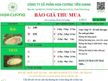 GIÁ SẦU RIÊNG HÔM NAY 11/11/2024