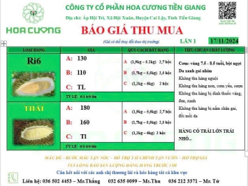 GIÁ SẦU RIÊNG HÔM NAY 17/11/2024