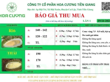 GIÁ SẦU RIÊNG HÔM NAY 19/11/2024