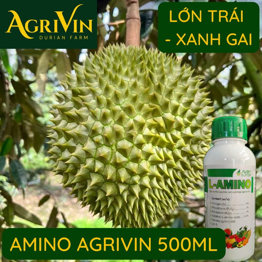 Sầu Riêng Tiền Giang