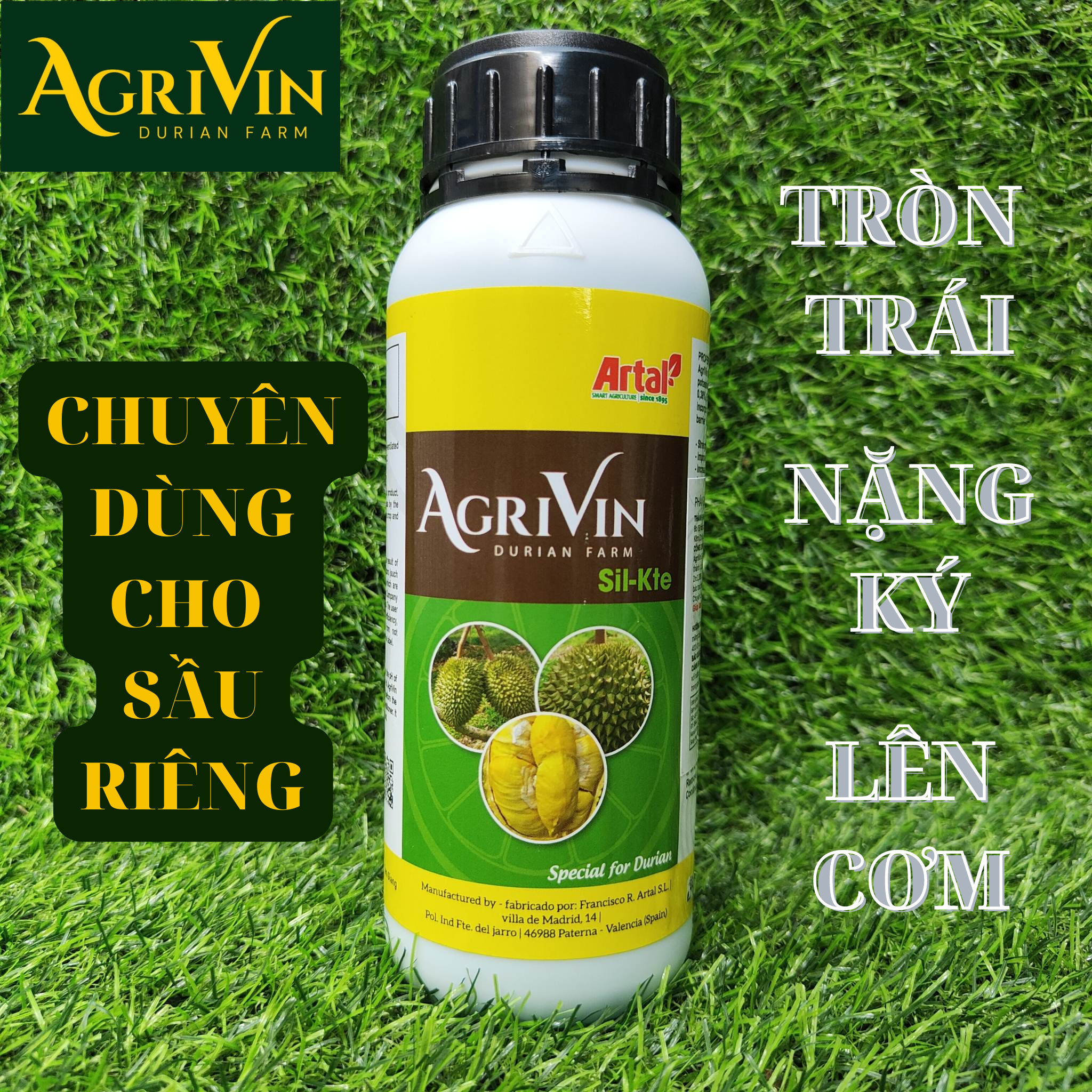 Sầu Riêng Tiền Giang